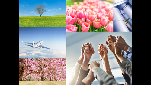 播放效果示例_副本.png 播放效果示例_副本.png